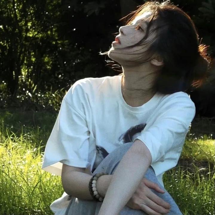 候鸟之爱